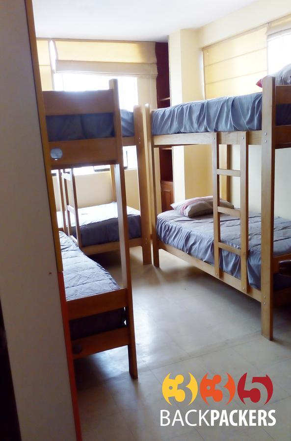 Bett im gemischten 6-Bett-Schlafsaal