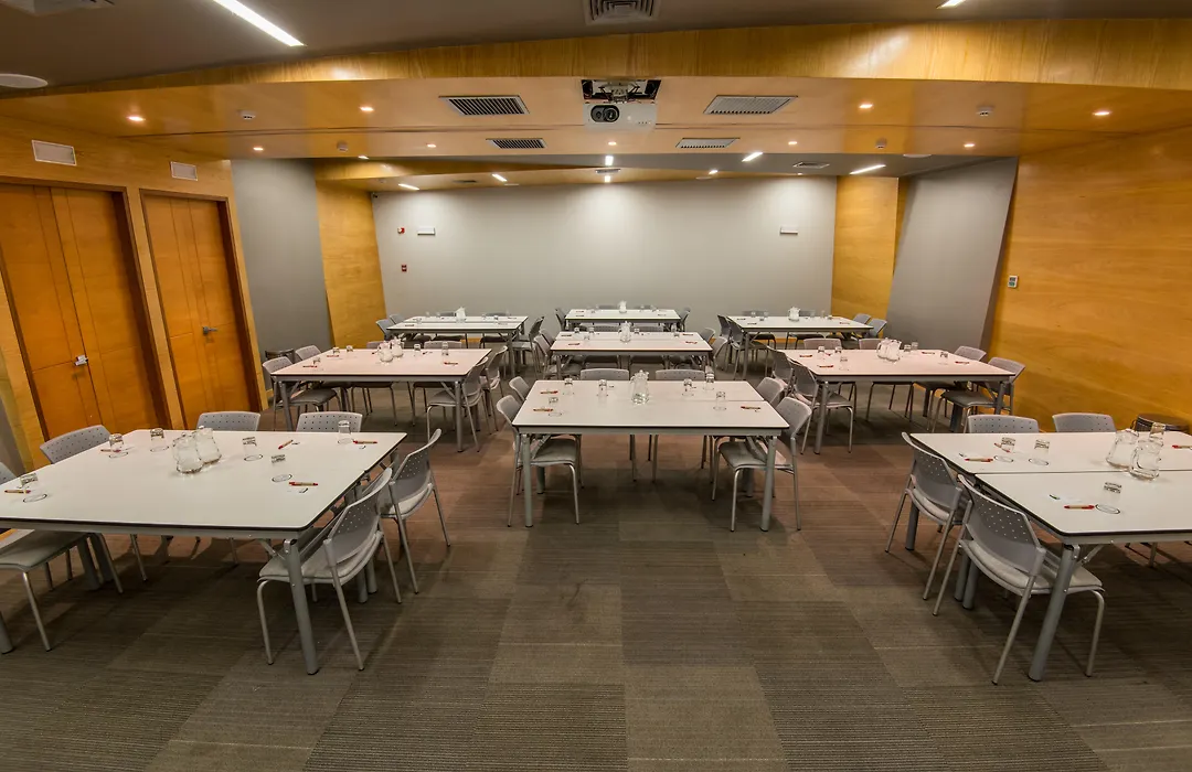 Palmetto Hotel Business San Borja-1