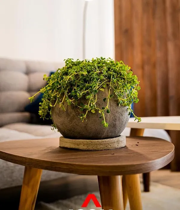 Modern 1Br Studio In Barranco-1