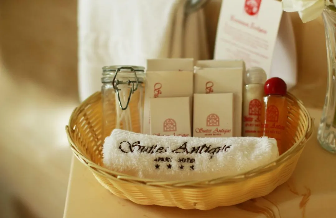 Suites Antique Apart Hotel-1
