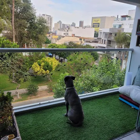 Habitacion A 5 Min De Miraflores, En Un Depa Amplio, Todos Los Servicios, Gimnasio Y Terraza, Bano Privado-2