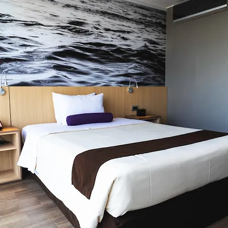 Palmetto Hotel Business San Borja-2