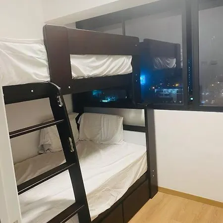 Brand New And Cozy Apartment-2 Bedrooms, 2 Baths-2
