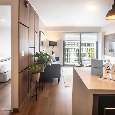 Amazing 1Br In San Isidro-3