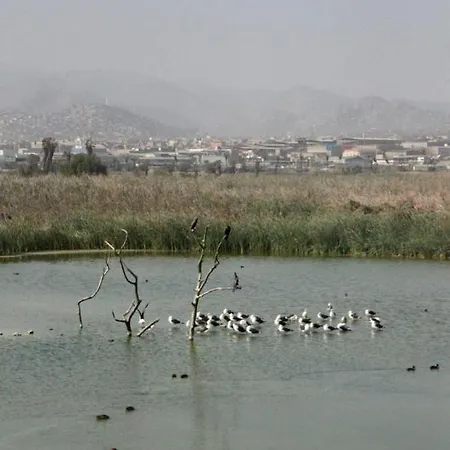 Kanta Kuyani-3
