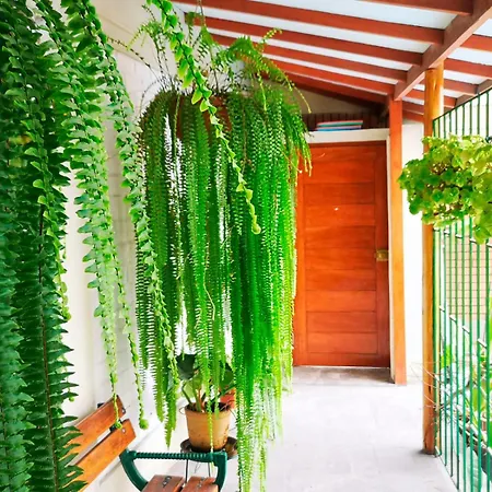 Casa Amarello-3