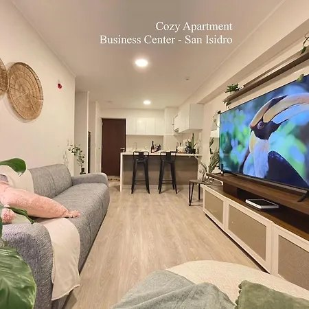 Cozy Apartment In Business Center San Isidro-3