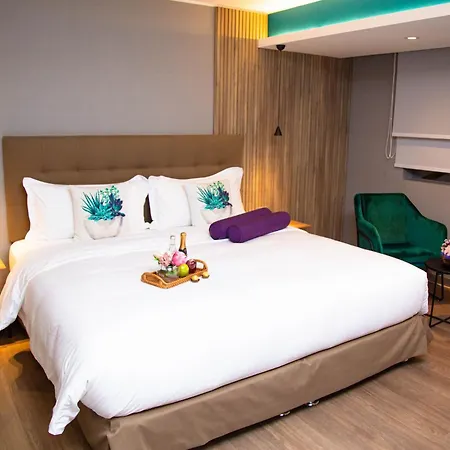 Palmetto Hotel Business San Borja-3