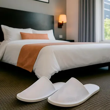 Apart Hotel Petit Palace Suites-2