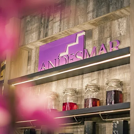 Hotel Andesmar-2