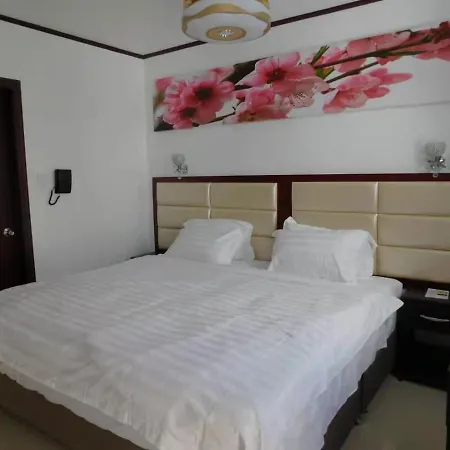 Sunshine Hotel-3