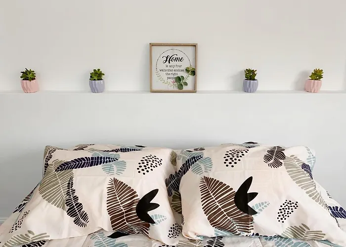 Miraflores Friends Home Lima acceptant les animaux