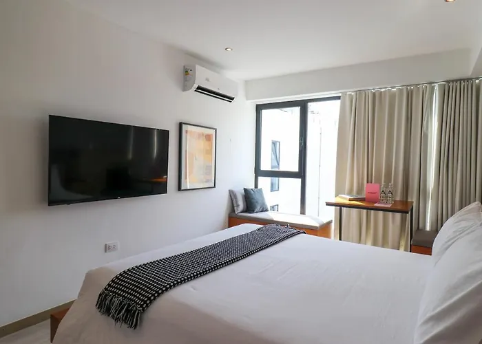 Spacious Loft In Barranco Lima acceptant les animaux